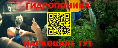 тгк Ставрополь